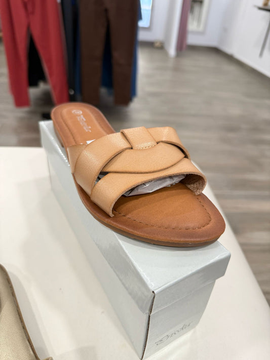 PALAS MARRON